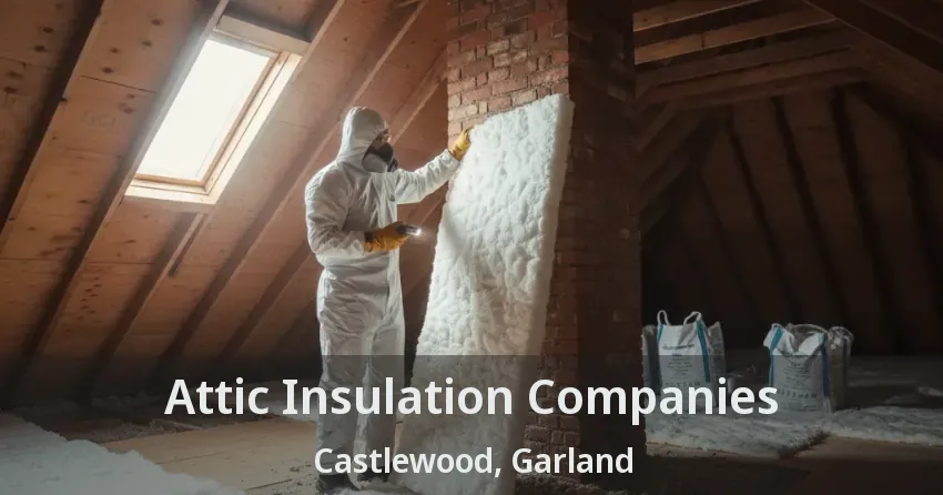 Attic Insulation Companies Castlewood, Garland - TX