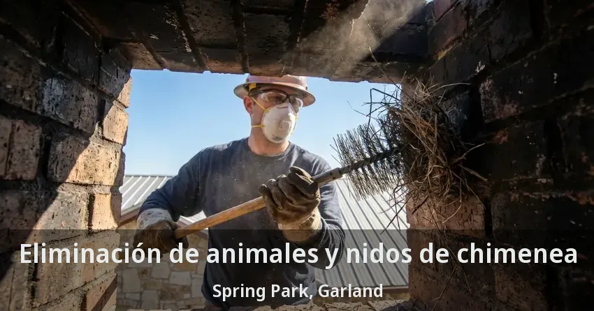 Eliminación de animales y nidos de chimenea Spring Park, Garland - TX