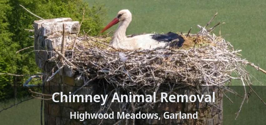 Chimney Animal Removal Highwood Meadows, Garland - TX
