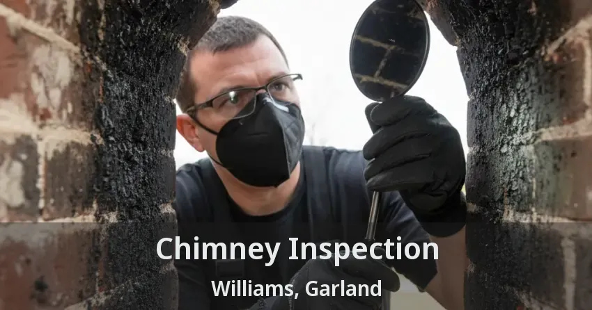 Chimney Inspection Williams, Garland - TX