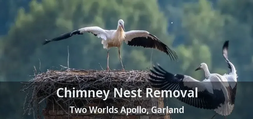 Chimney Nest Removal Two Worlds Apollo, Garland - TX