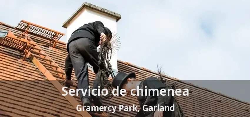 Servicio de chimenea Gramercy Park, Garland - TX Servicio de chimenea Gramercy Park, Garland - TX