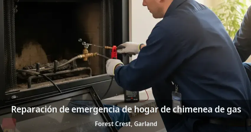 Reparación de emergencia de hogar de chimenea de gas Forest Crest, Garland - TX