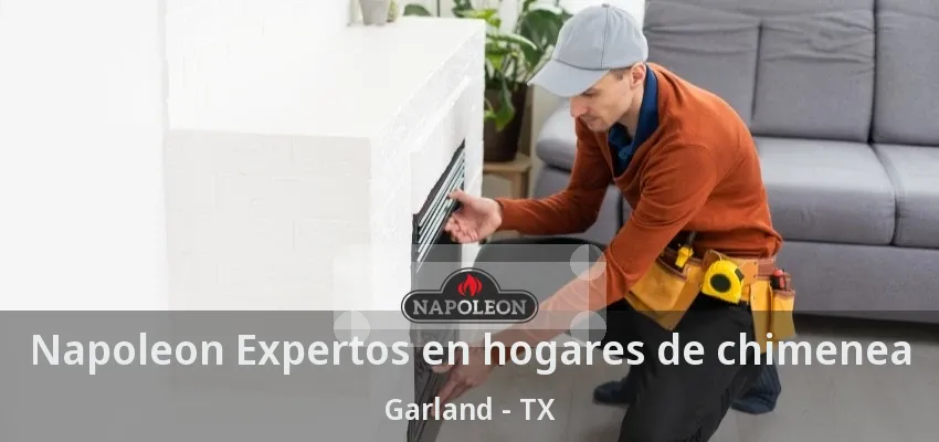 Napoleon Expertos en hogares de chimenea Garland - TX Napoleon Expertos en hogares de chimenea Garland - TX