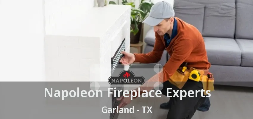 Napoleon Fireplace Experts Garland - TX Napoleon Fireplace Experts Garland - TX