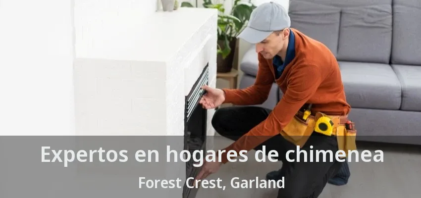 Expertos en hogares de chimenea Forest Crest, Garland - TX Expertos en hogares de chimenea Forest Crest, Garland - TX