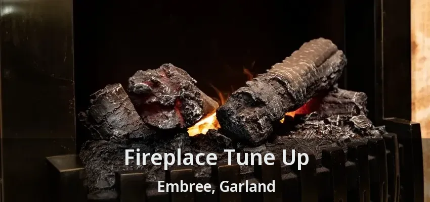 Fireplace Tune Up Embree, Garland - TX Fireplace Tune Up Embree, Garland - TX