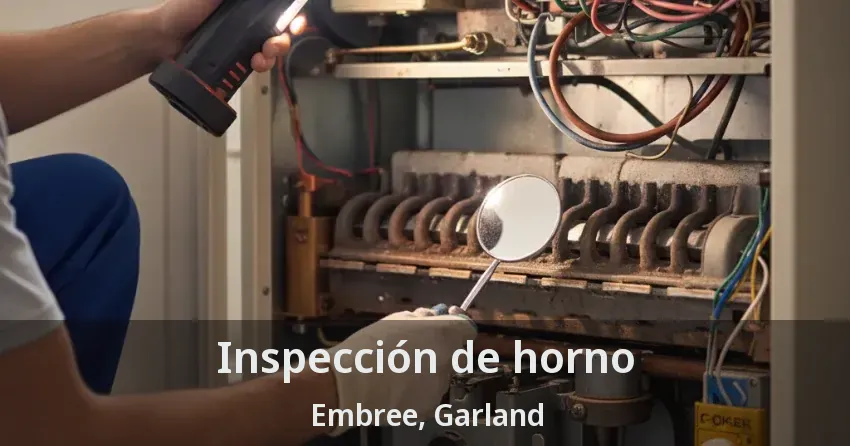 Inspección de horno Embree, Garland - TX Inspección de horno Embree, Garland - TX