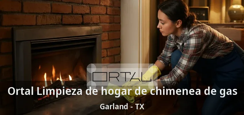 Ortal Limpieza de hogar de chimenea de gas Garland - TX Ortal Limpieza de hogar de chimenea de gas Garland - TX