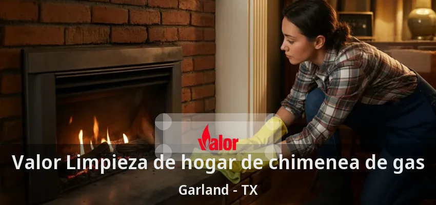 Valor Limpieza de hogar de chimenea de gas Garland - TX Valor Limpieza de hogar de chimenea de gas Garland - TX