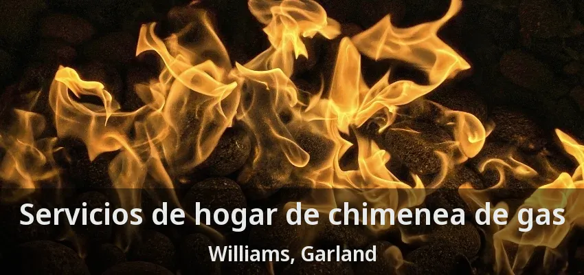 Servicios de hogar de chimenea de gas Williams, Garland - TX Servicios de hogar de chimenea de gas Williams, Garland - TX