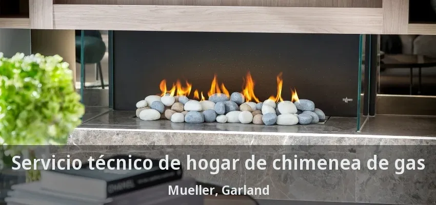Servicio técnico de hogar de chimenea de gas Mueller, Garland - TX