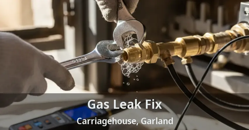 Gas Leak Fix Carriagehouse, Garland - TX