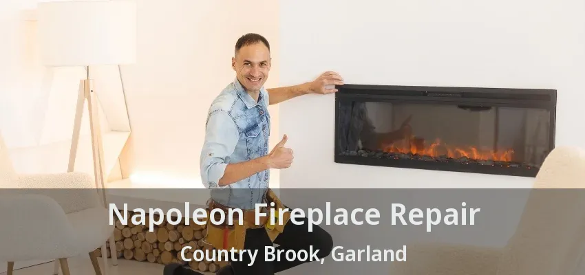 Napoleon Fireplace Repair Country Brook, Garland - TX Napoleon Fireplace Repair Country Brook, Garland - TX